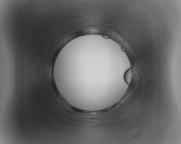 X0000102300330200807251026