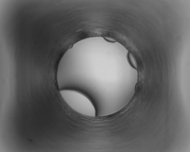 X0000102300331200807251026