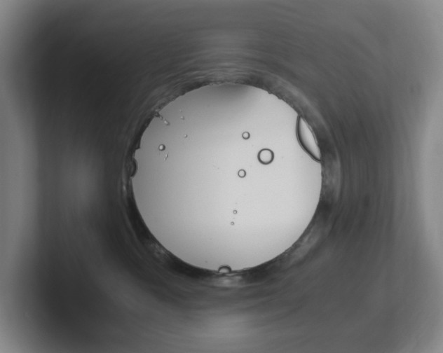 X0000102300333200807251026