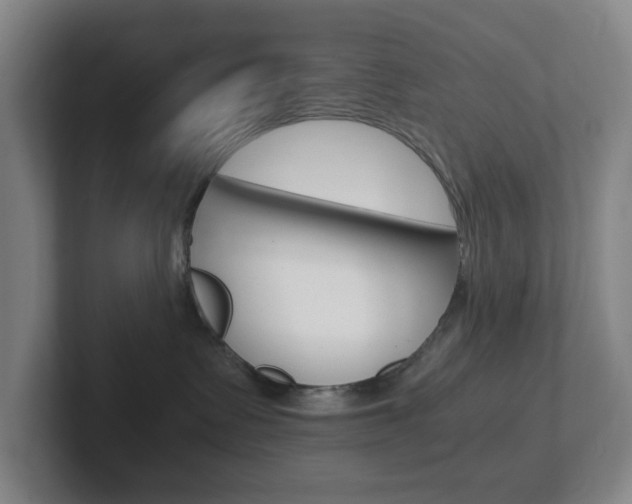 X0000102300335200807251026