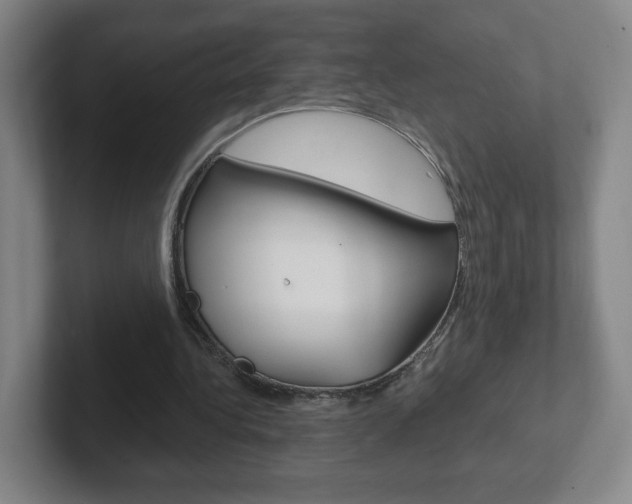X0000102300340200807251025