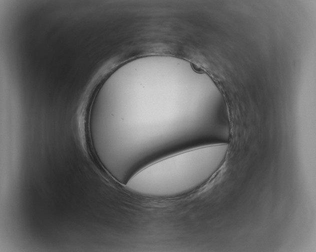 X0000102300341200807251025