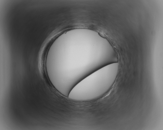 X0000102300343200807251025