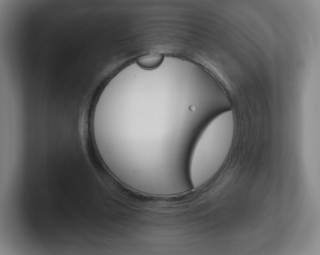 X0000102300348200807251025