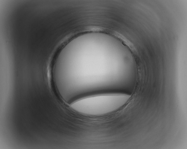 X0000102300350200807251025