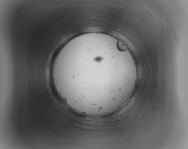 X0000102300351200807251025