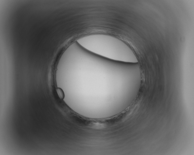 X0000102300352200807251025
