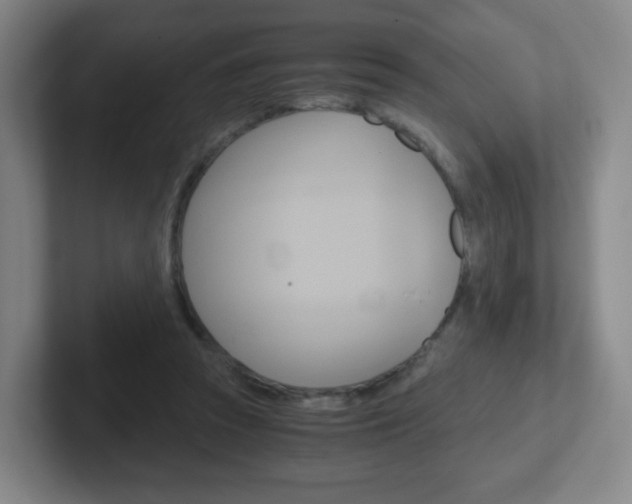 X0000102300353200807251025