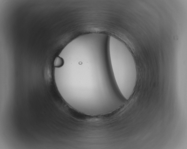 X0000102300358200807251026