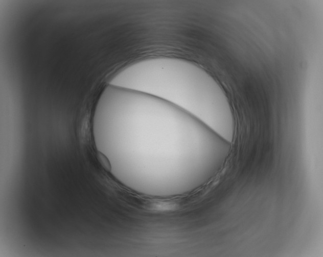 X0000102300360200807251026