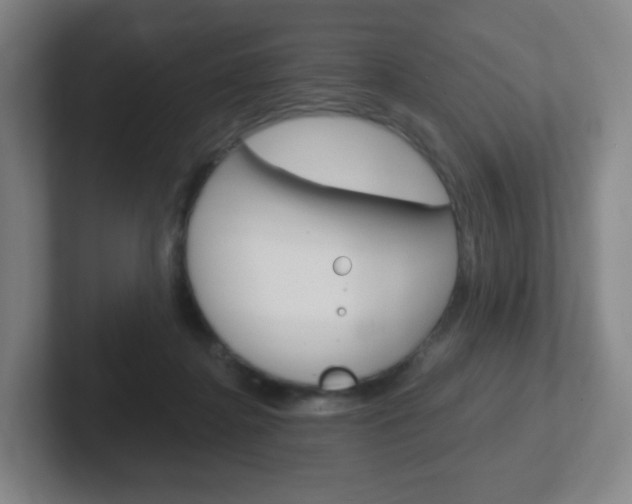 X0000102300364200807251026