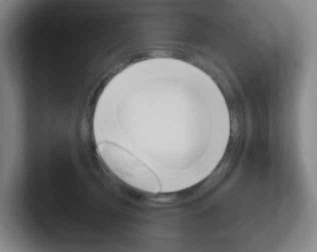 X0000102300370200807251026