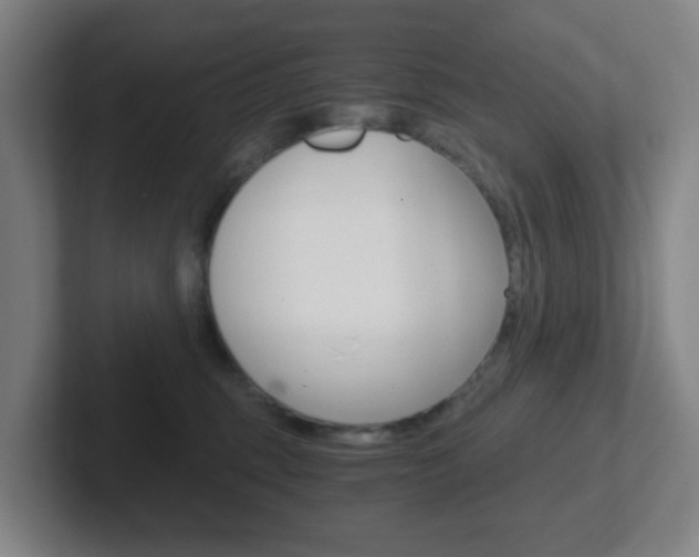 X0000102300375200807251026