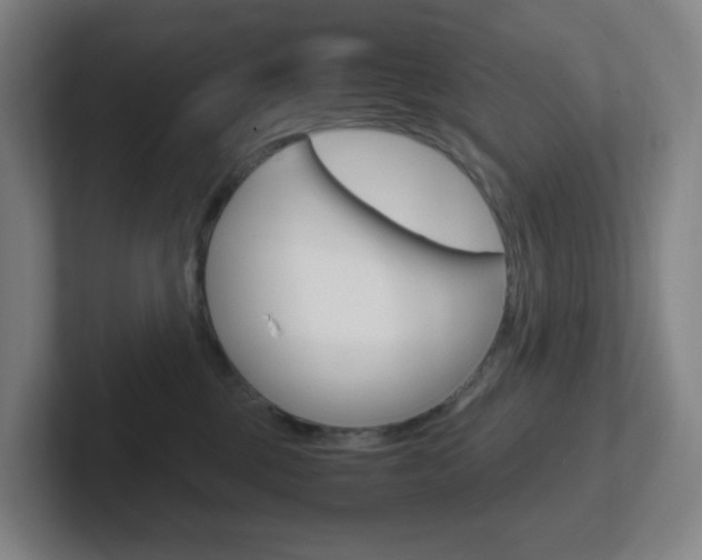 X0000102300377200807251026