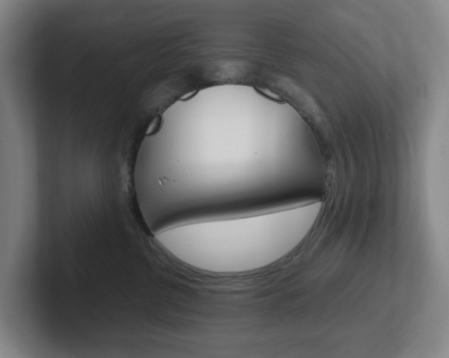 X0000102300380200807251026