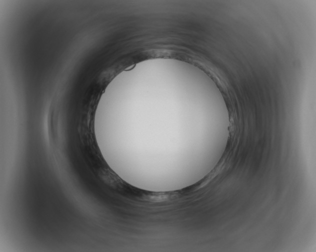 X0000102300381200807251026