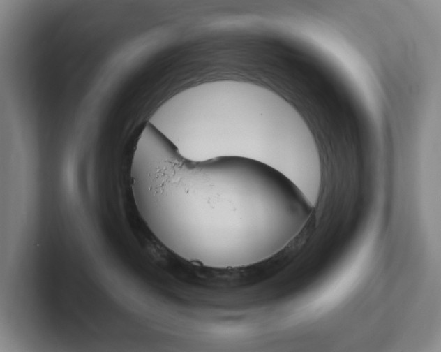 X0000102300382200807251026