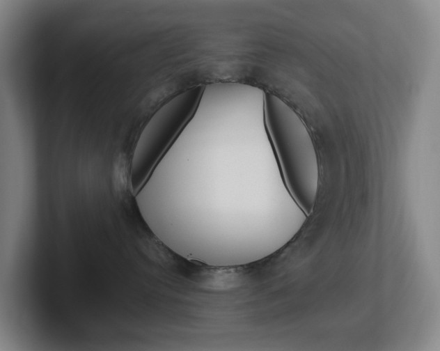 X0000102300384200807251026