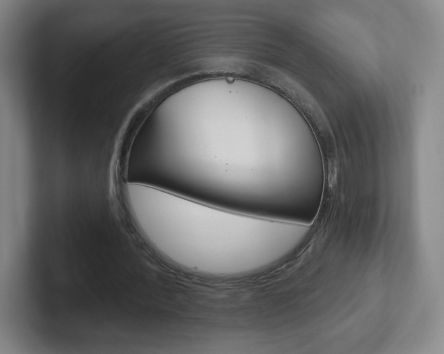 X0000102300388200807251025
