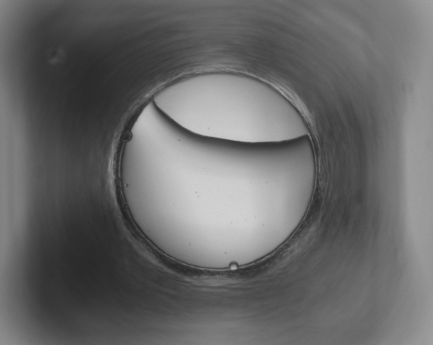 X0000102300389200807251025