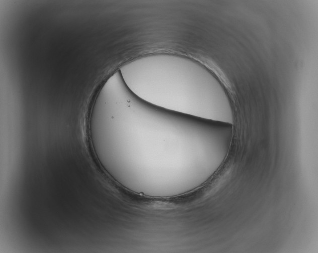 X0000102300393200807251025