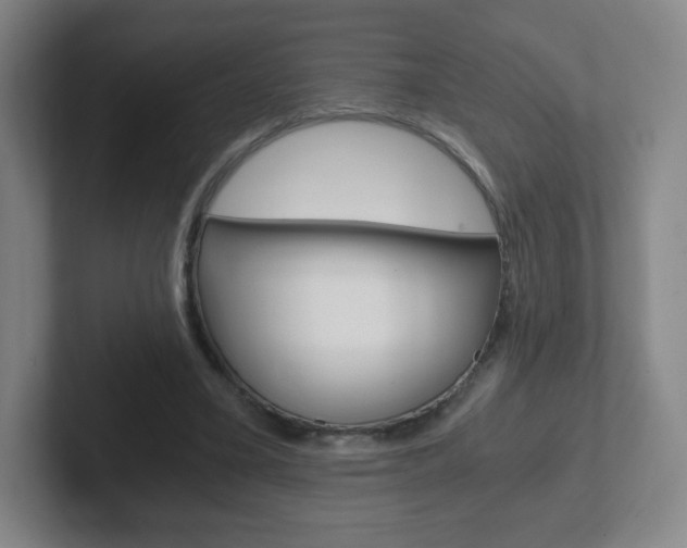 X0000102300395200807251025