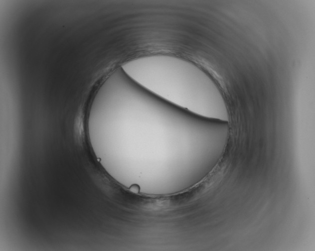 X0000102300398200807251025