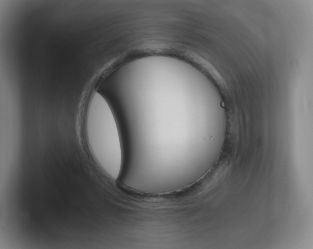 X0000102300399200807251025