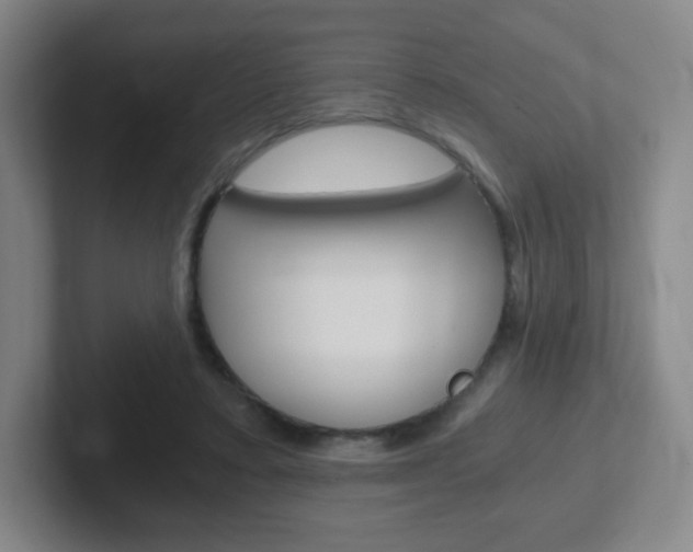 X0000102300403200807251025