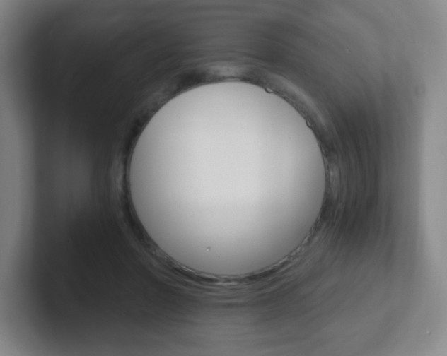 X0000102300406200807251025