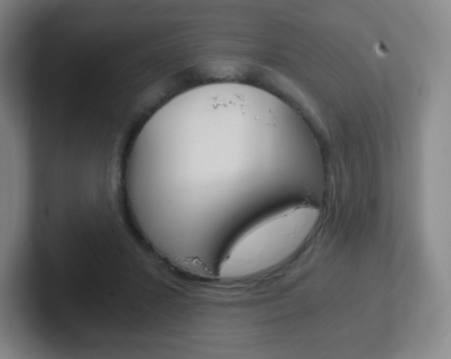 X0000102300407200807251025
