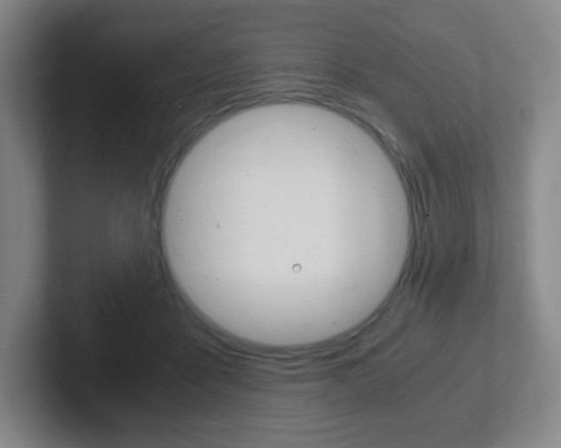 X0000102300411200807251025