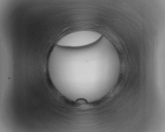X0000102300413200807251025