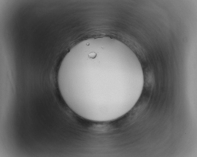 X0000102300414200807251025
