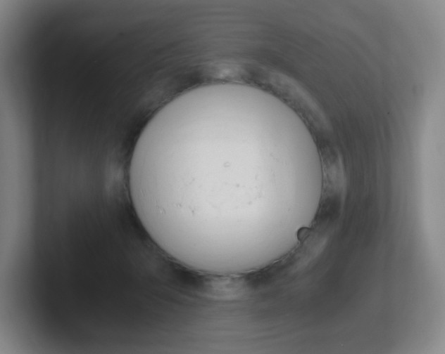 X0000102300415200807251025