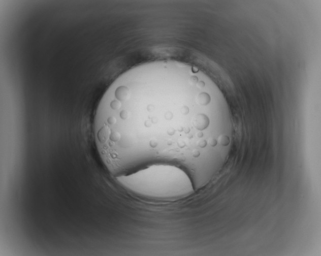 X0000102300418200807251025
