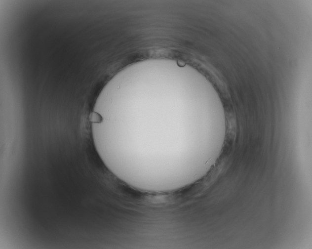 X0000102300419200807251025