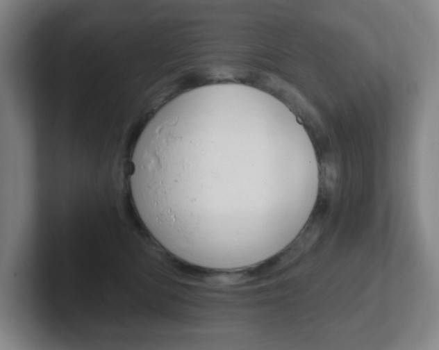 X0000102300422200807251025