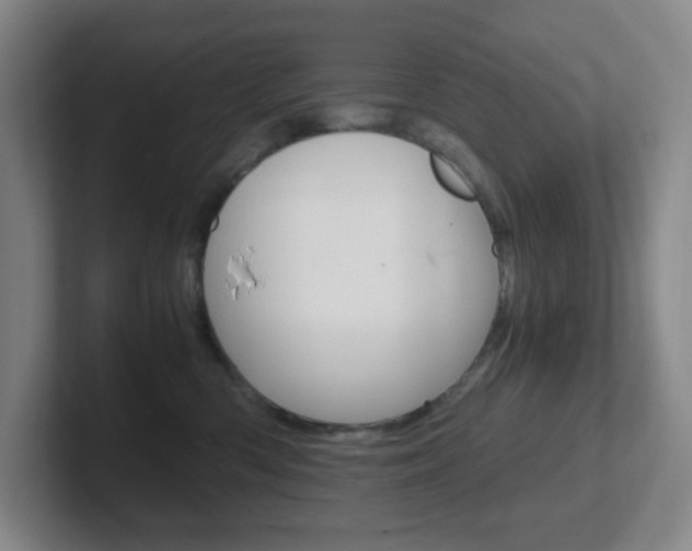X0000102300426200807251025