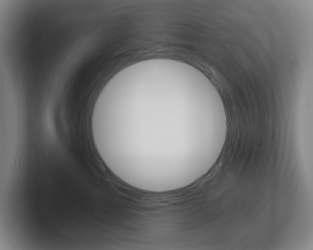 X0000102300429200807251025