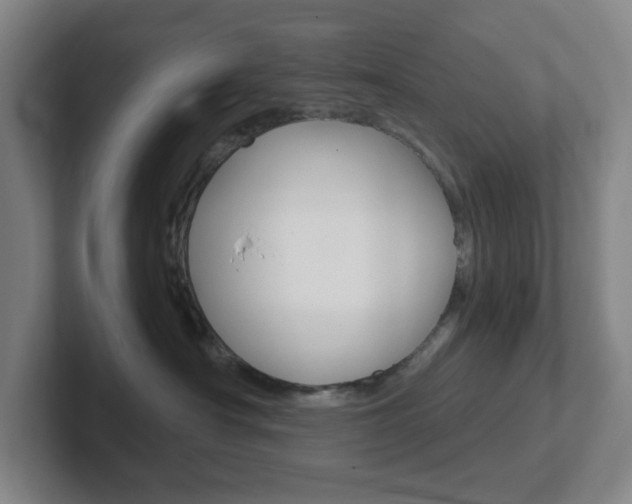 X0000102300430200807251025