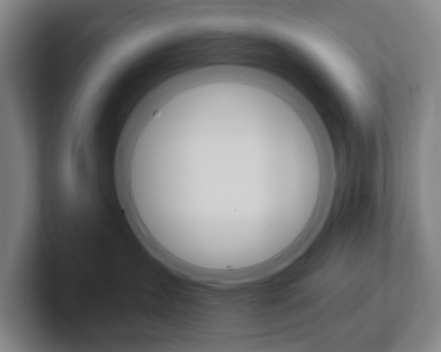 X0000102300431200807251025