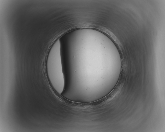 X0000102300433200807251024
