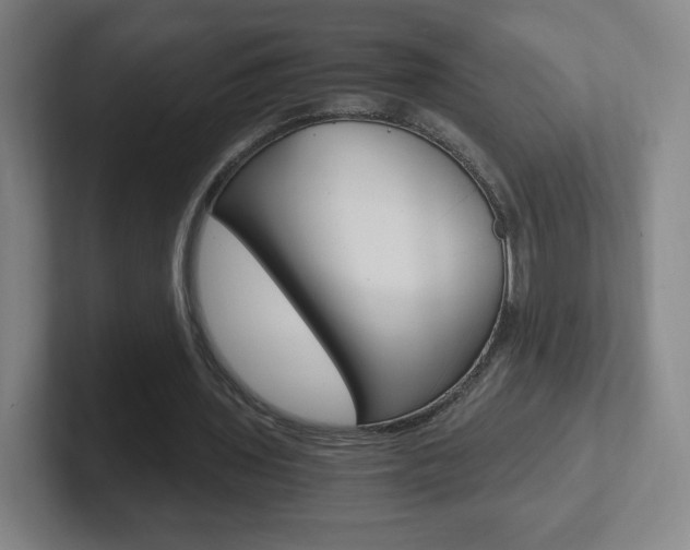 X0000102300435200807251024