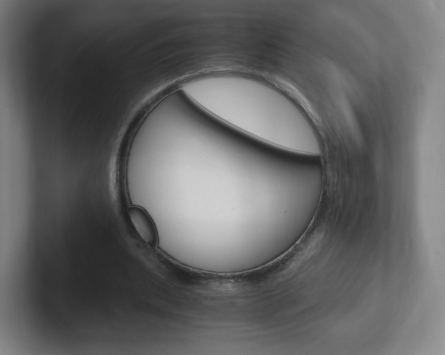 X0000102300439200807251024