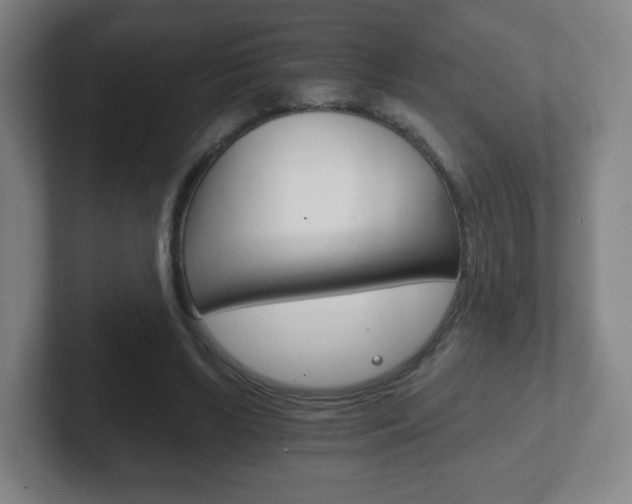 X0000102300443200807251024