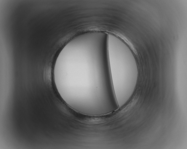X0000102300445200807251024