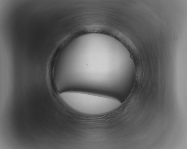 X0000102300448200807251024