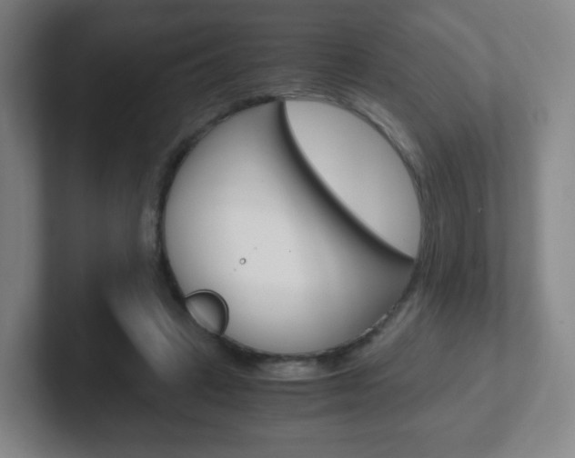 X0000102300449200807251024