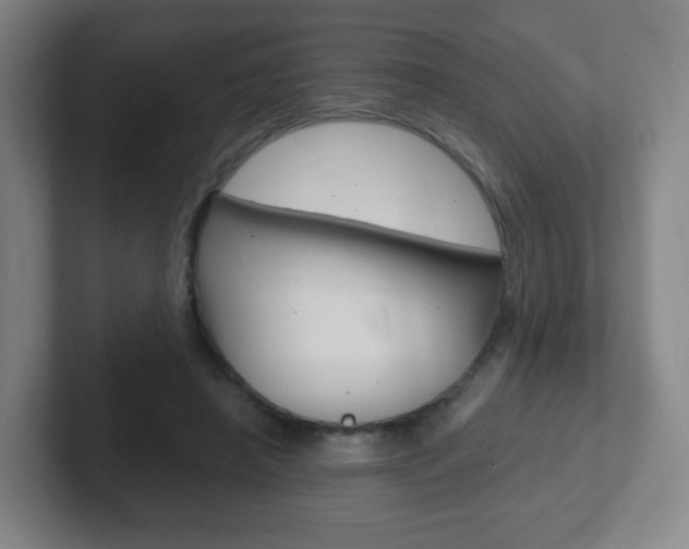 X0000102300450200807251024